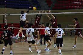 雄鹿遭淘汰哈姆NBA杯纪录遭终结，此前两个赛季全部夺得冠军